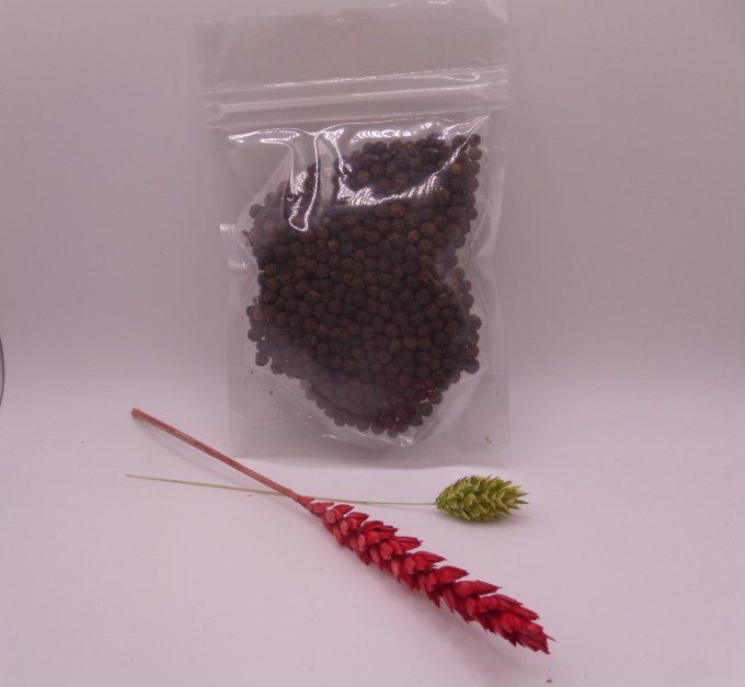 Poivre noir de Madagascar - Grains entiers - 50g 