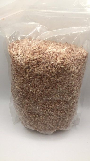 Riz rouge